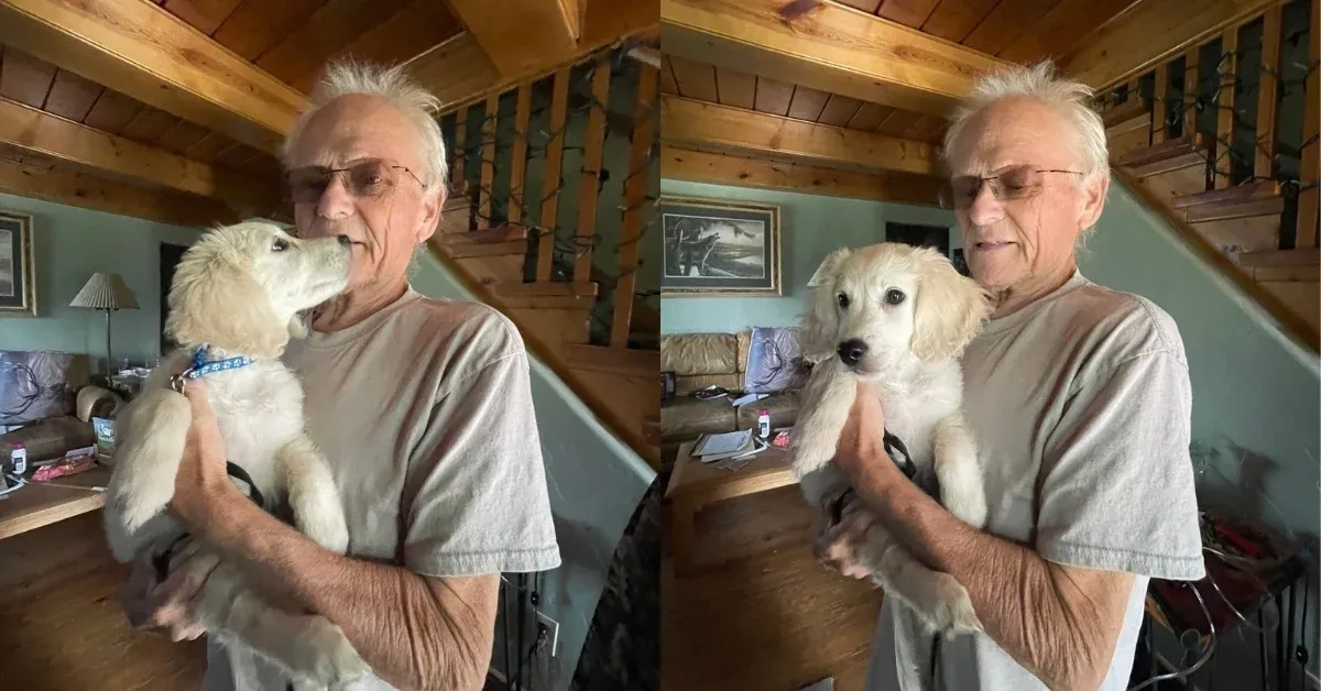 A hospice patient's last wish was to snuggle a golden retriever with 'puppy breath.' Gladdie was the girl for the job