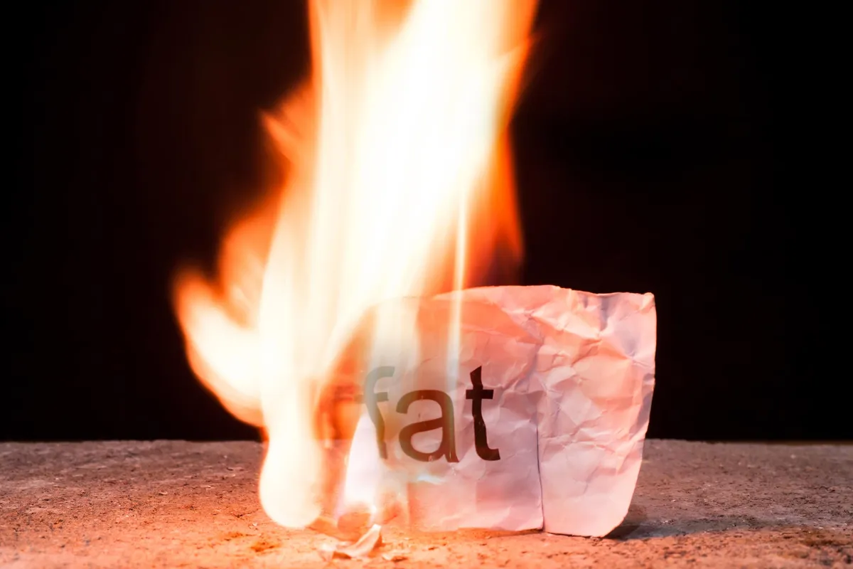 Scientists Discover Hidden “Switch” That Burns Fat and Could Treat Bone Disease