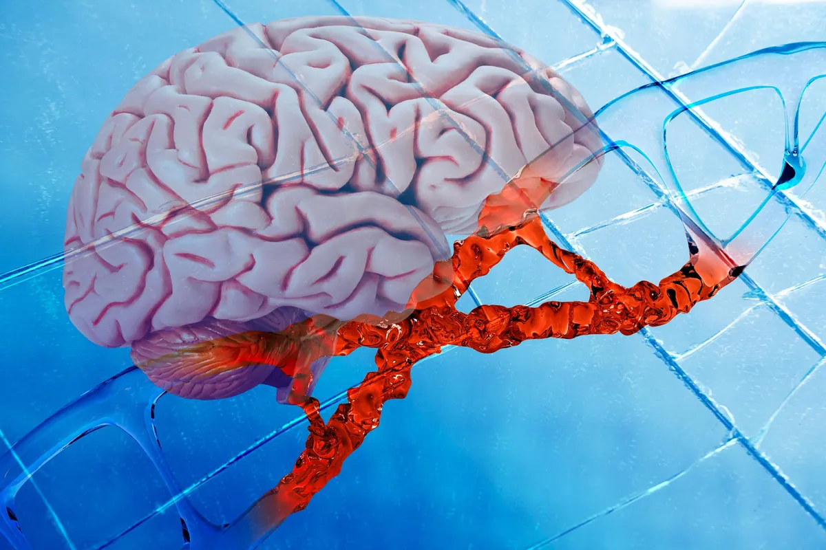Scientists Discover Ancient “Language Switches” Hidden in Human DNA