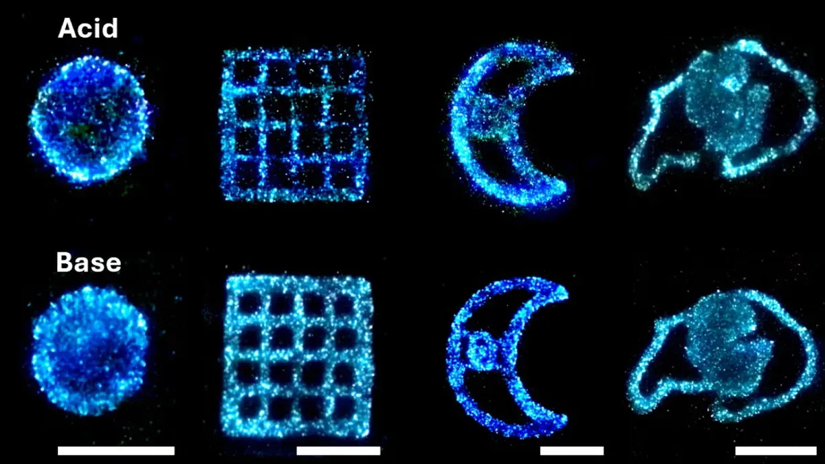 Scientists Just Figured Out How to Make Algae Glow for 25 Minutes