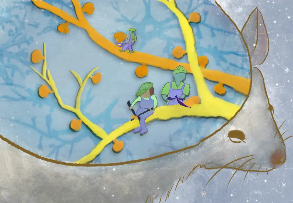 Article illustration