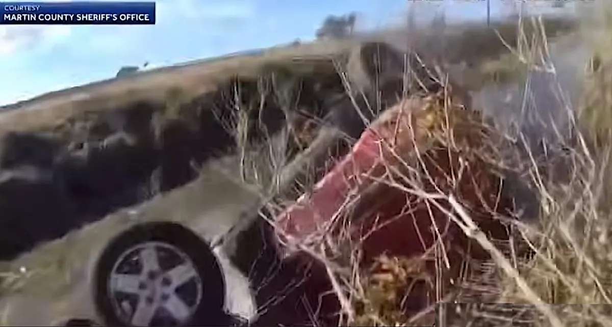 Stranger's quick thinking saves mother and three children from submerged car