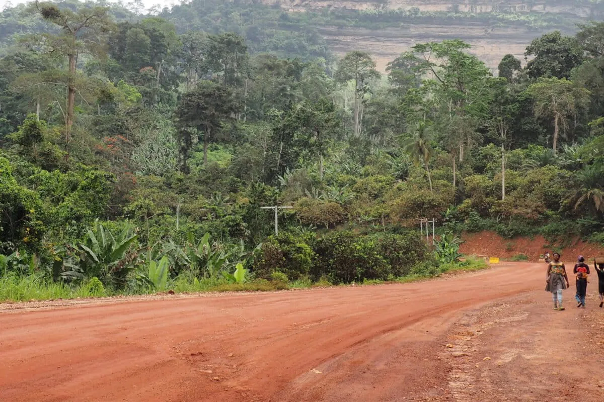 Has Ghana Reclaimed Its Forests from the Clutches of Mining?