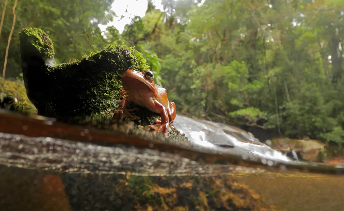 Article illustration