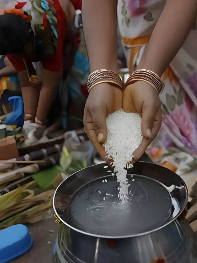 Harvests Across India Spark Seasonal Celebrations