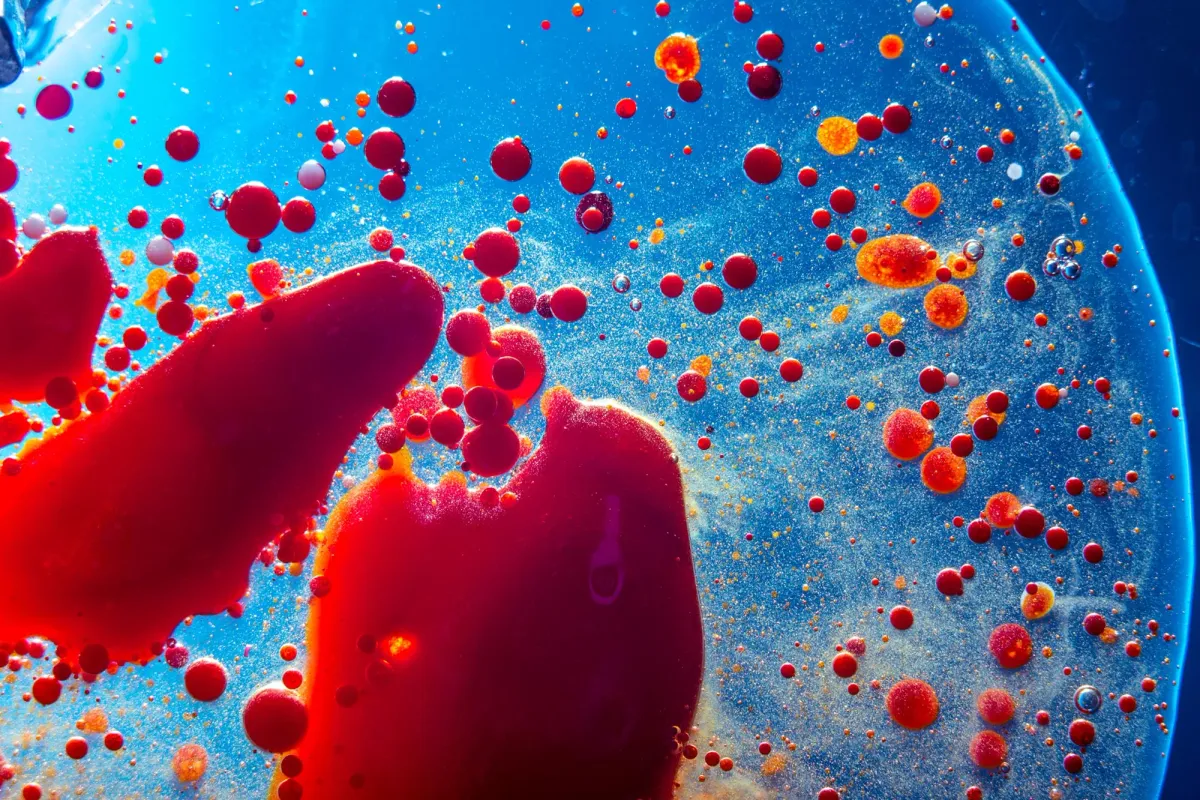 Your Blood May Carry a 700-Million-Year-Old Secret