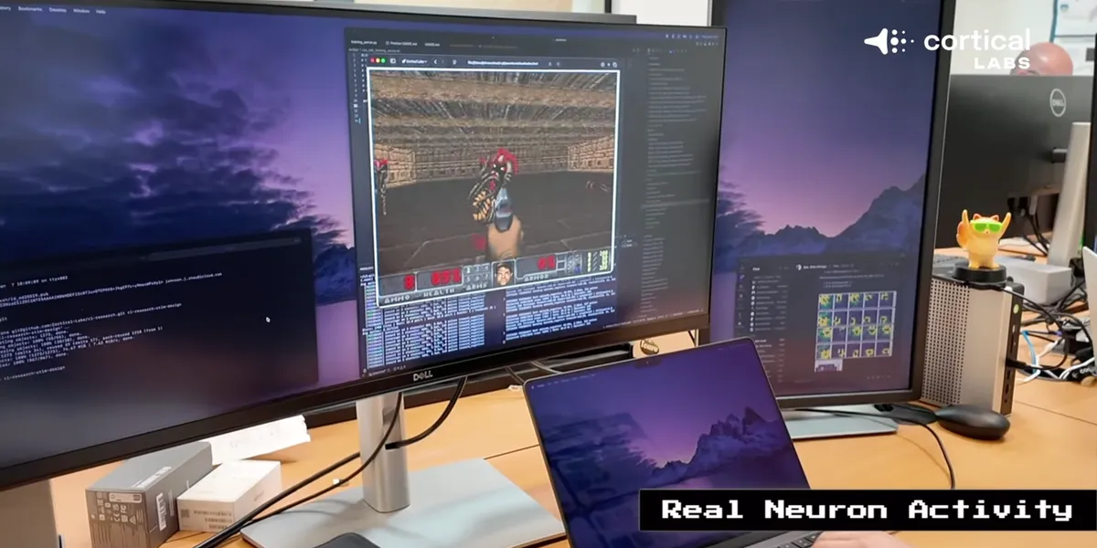 A Clump of Human Brain Cells on a Computer Chip Learned to Play the Nostalgic Video Game 'Doom'