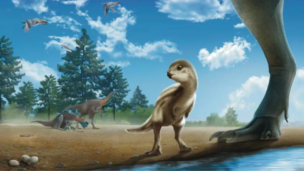Turkey-sized baby dinosaur fossil found with its skull still intact