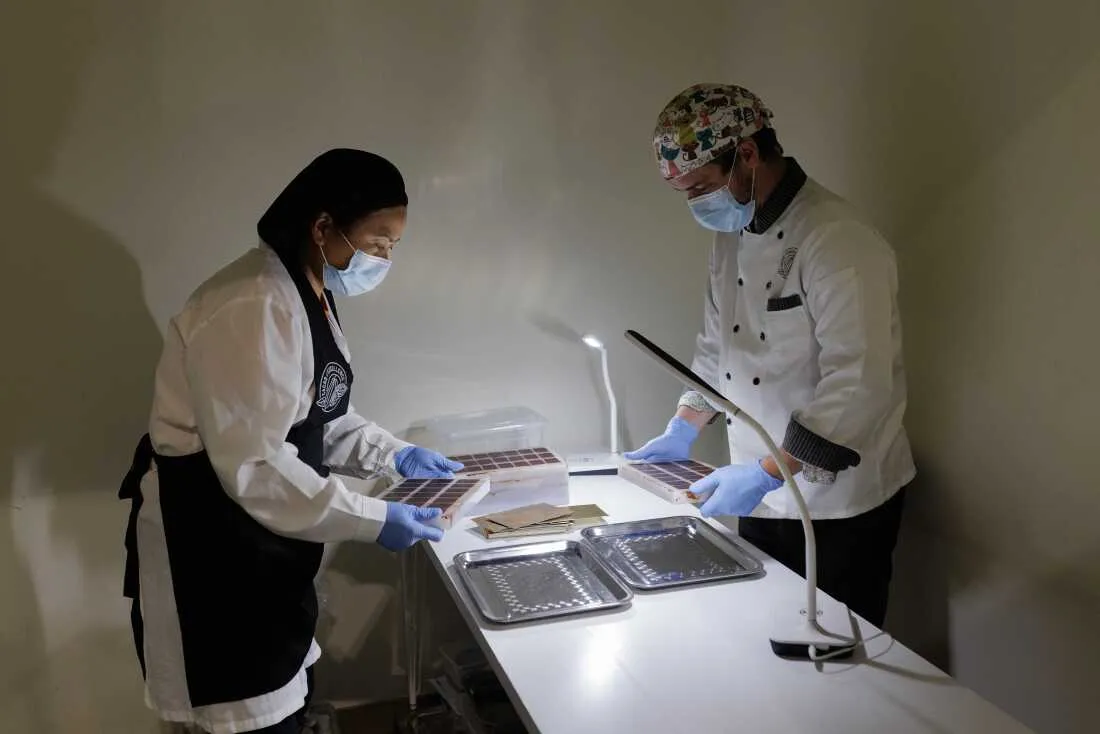 Lab Assistant Julia Butac and Programme Manager Julien Simonis perform the demolding process at the Cacao of Excellence laboratory in Perugia. After the chocolate has cooled and contracted, the bars are carefully removed from their molds, a final step that confirms the success of the tempering process through the chocolate's characteristic snap and glossy finish