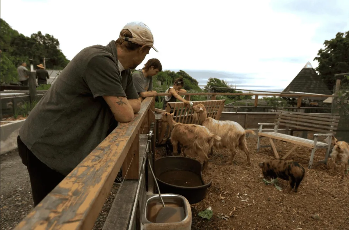 Visitors at the farm on the island's open day