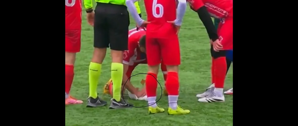 Soccer player revives seagull with CPR after ball strike during match