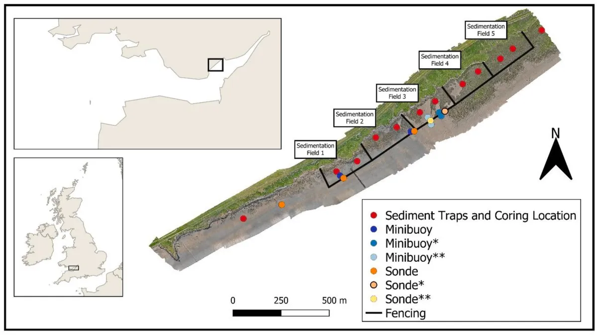 New fences can save restored saltmarsh, research suggests