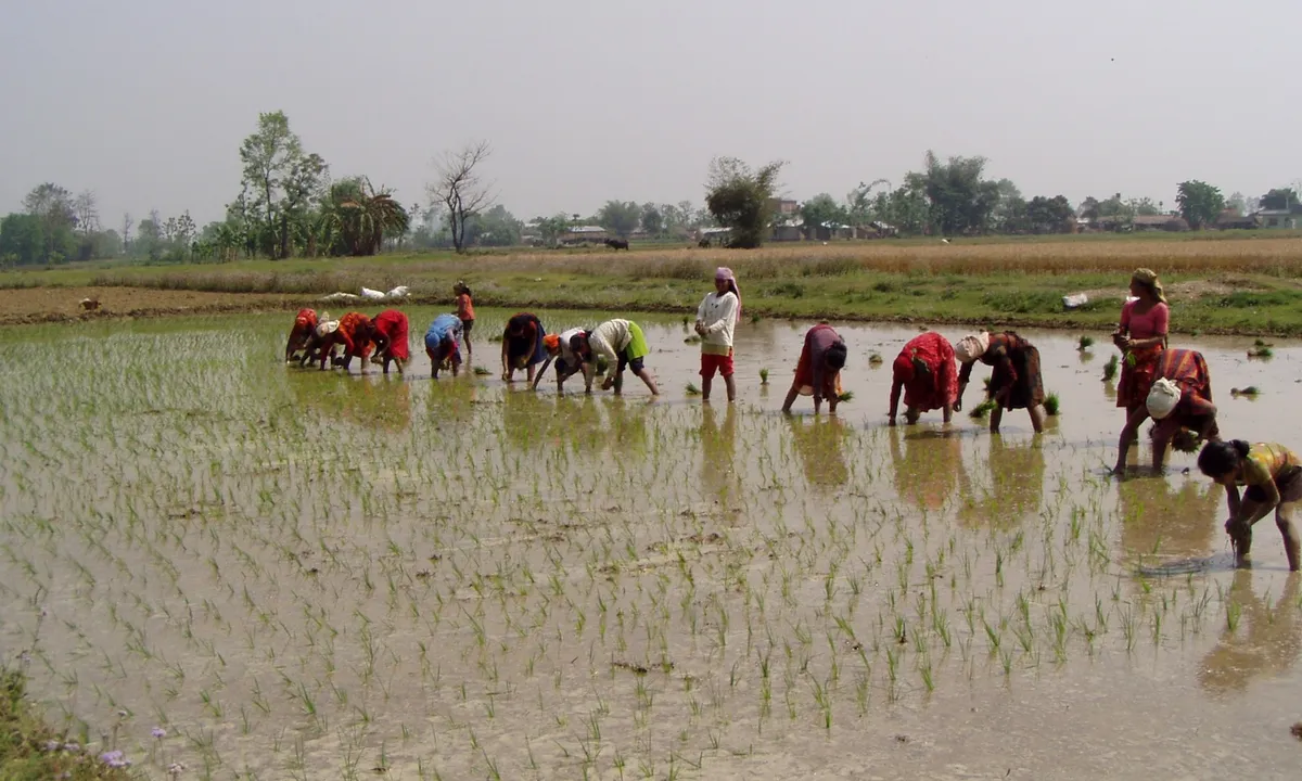 New digital atlas helps South Asian farmers beat climate change, village by village