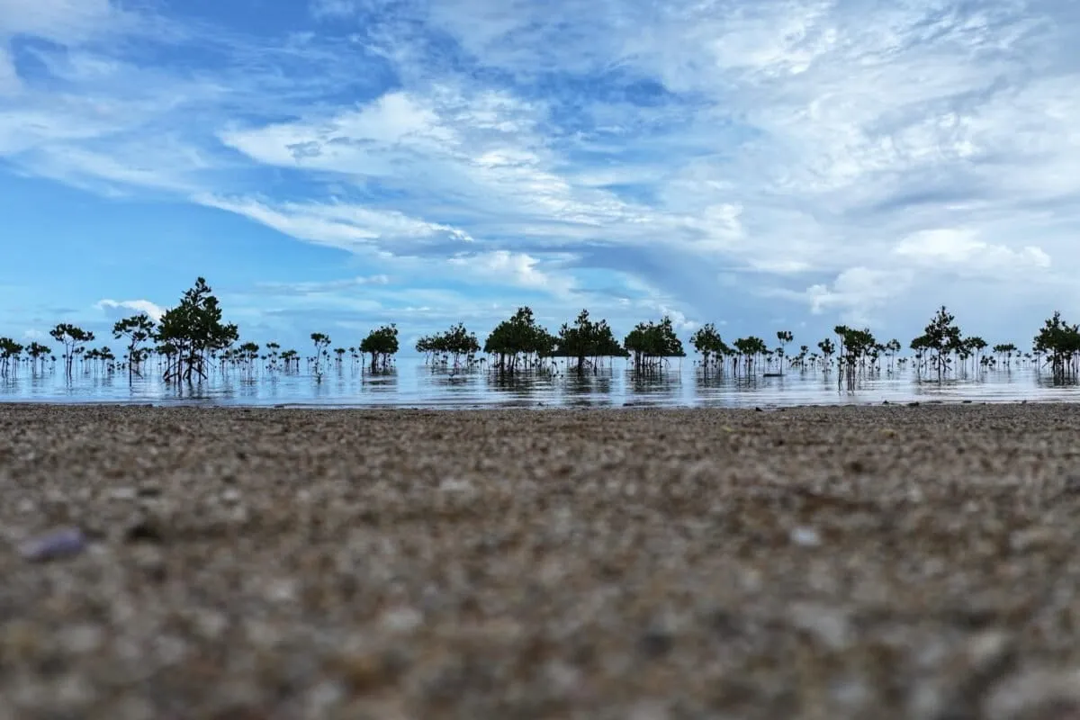 60 years of buried lessons on conservation projects from USAID have been saved