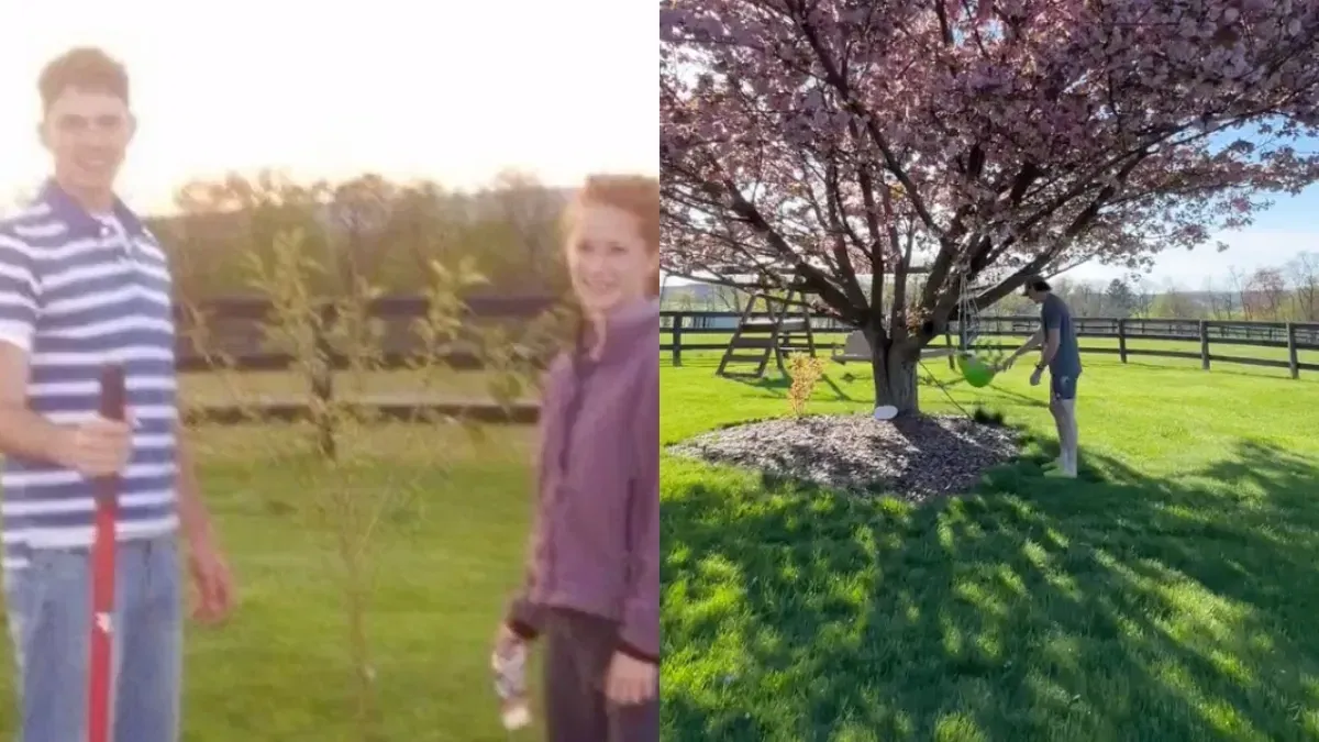 High School Sweethearts Planted a Tree, Now Their Baby Swings From It