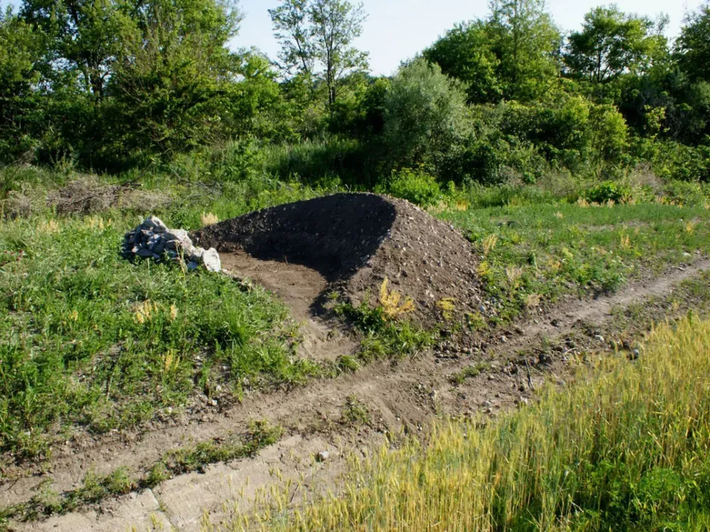 Article illustration