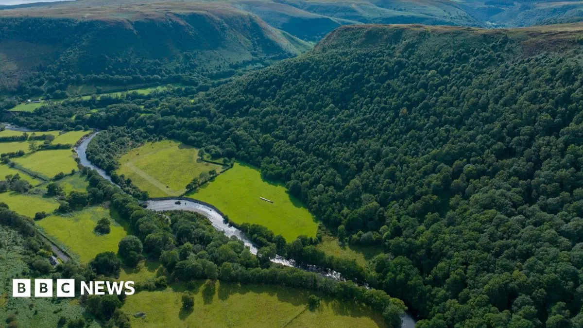 RSPB buys 'magical' Carmarthenshire 96-hectare landscape to reconnect habitats