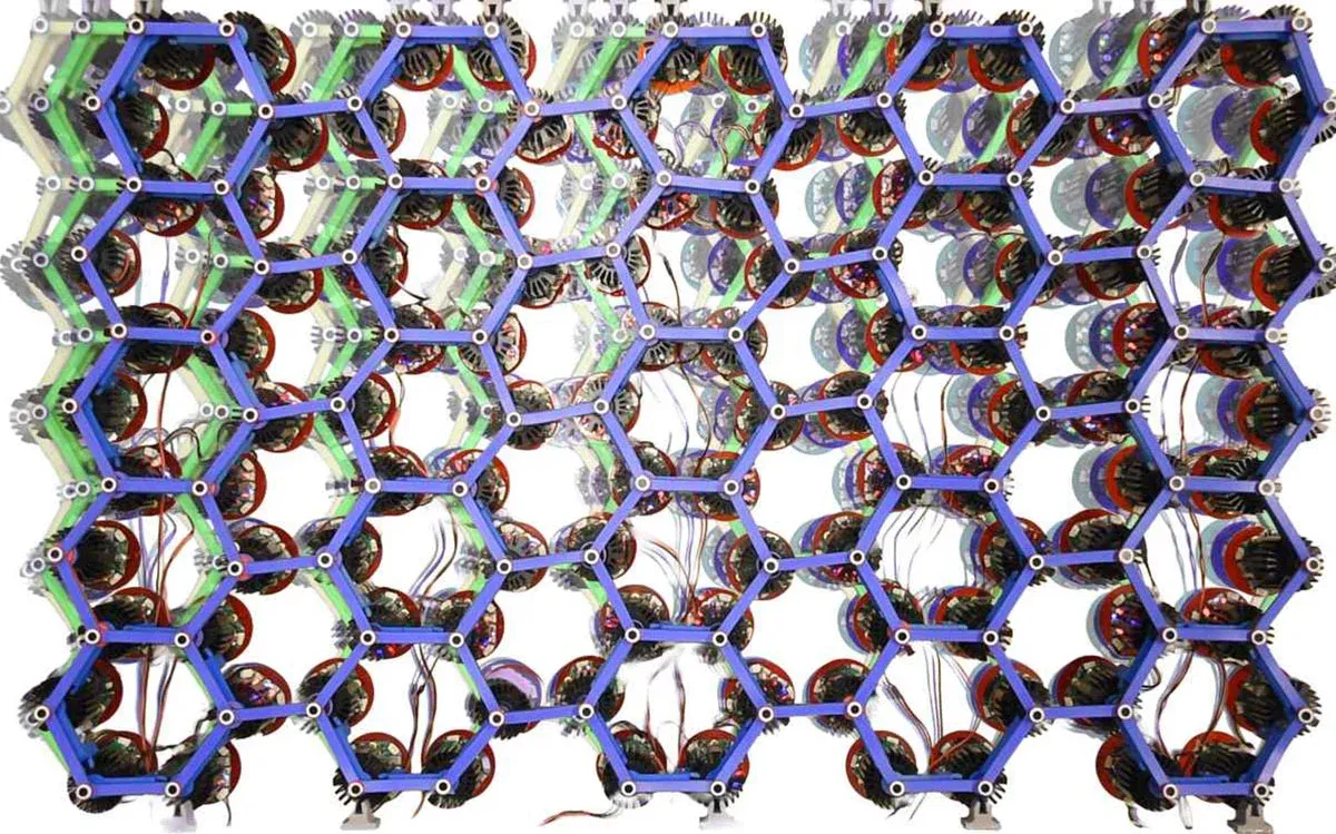 Scientists Create “Living” Materials That Crawl, Walk, and Dig on Their Own