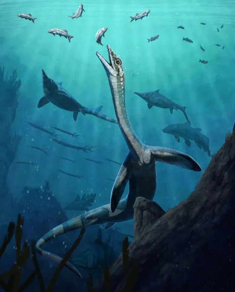 Scientists Discover a 245-Million-Year-Old Reptile With Its Organs Still Preserved