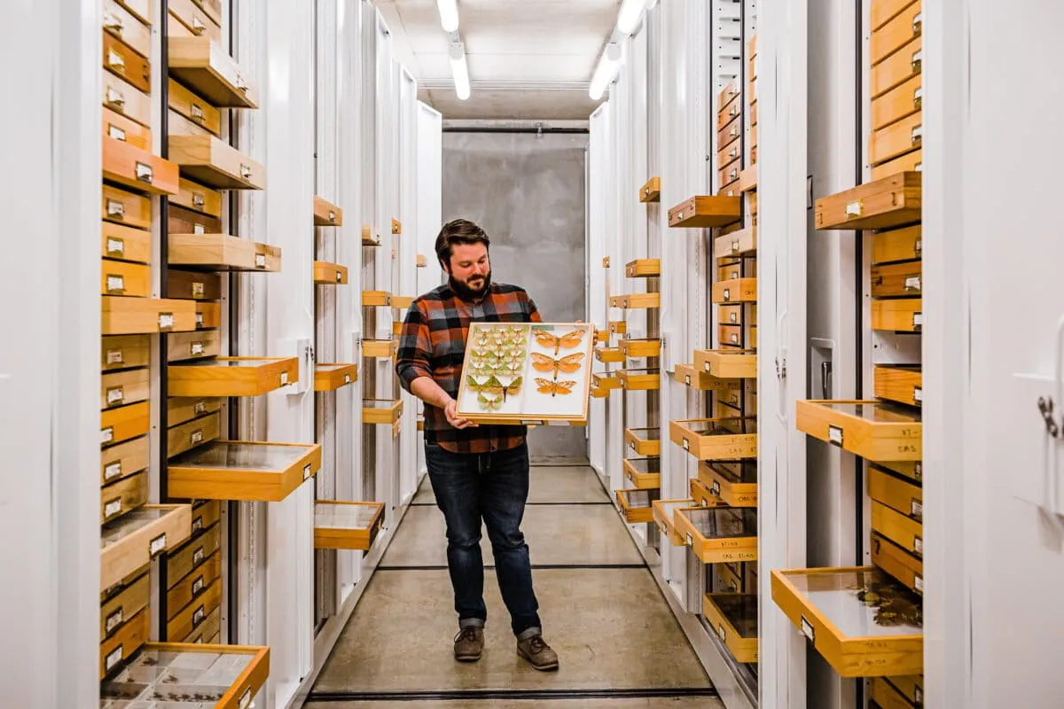 Inside California’s race to document its insects: A conversation with Chris Grinter