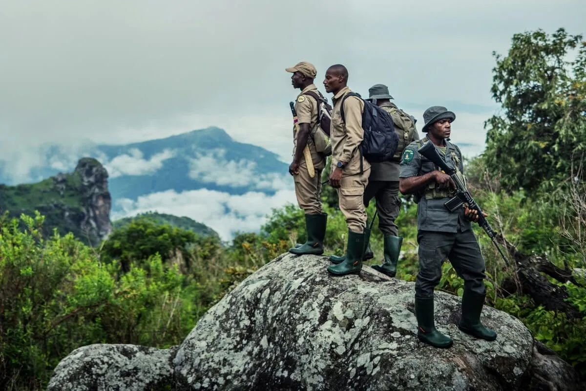 Article illustration