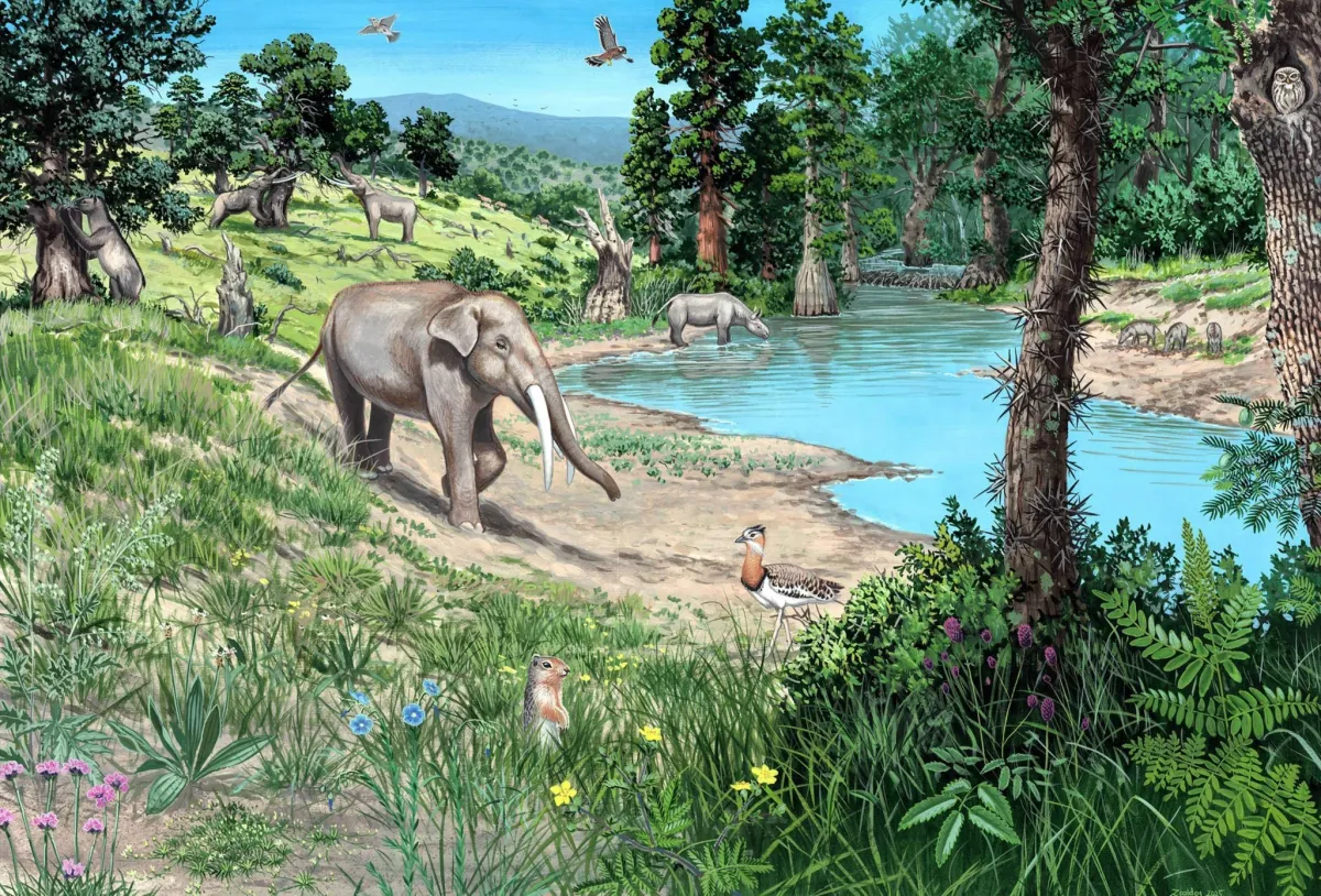 Europe Was Never a Giant Dark Forest, New 20-Million-Year Study Reveals