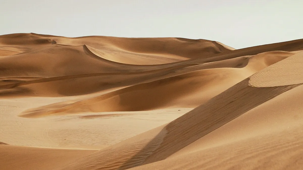 Wood scraps turn 'useless' desert sand into concrete