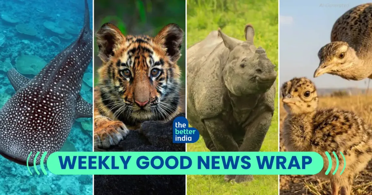 Article illustration