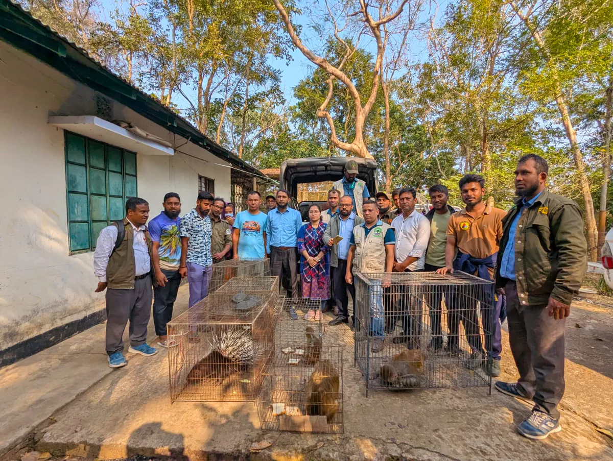 These Volunteers Are Undercover Heroes Against Bangladesh Wildlife Crime