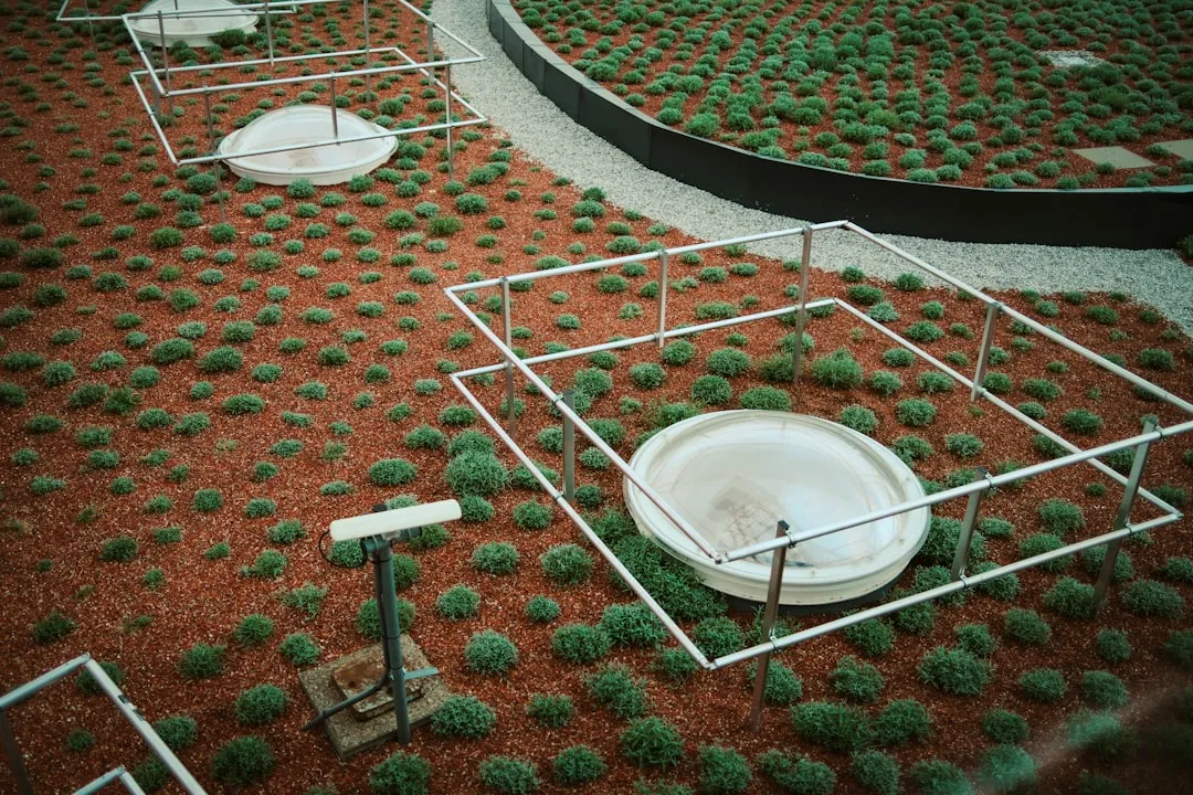 Article illustration