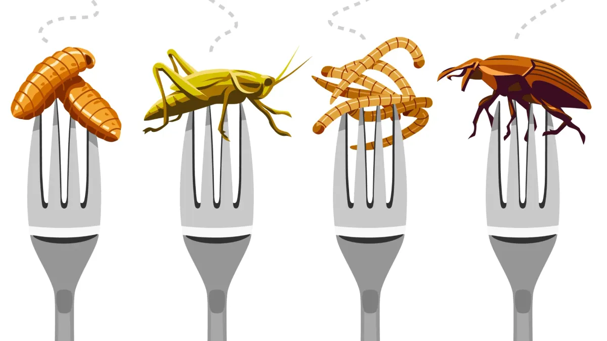 Article illustration
