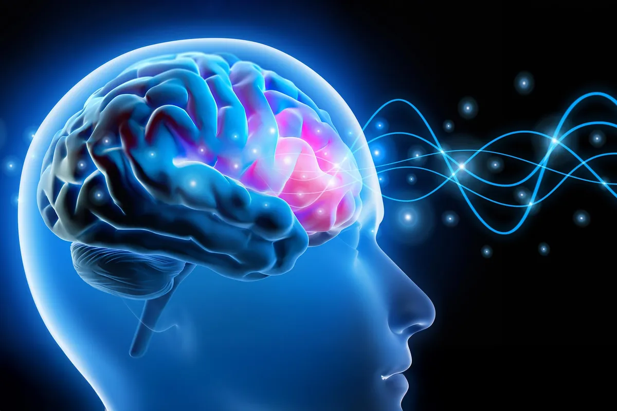 Your Brain's Rhythm Reveals What's You and What's Not