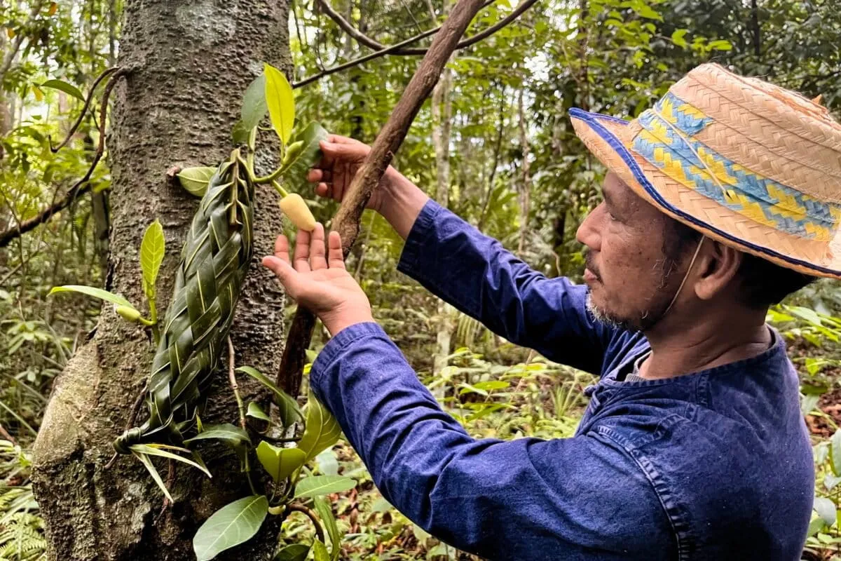 SE Asia’s smallholders struggling to meet EUDR: Interview with RECOFTC’s Martin Greijmans