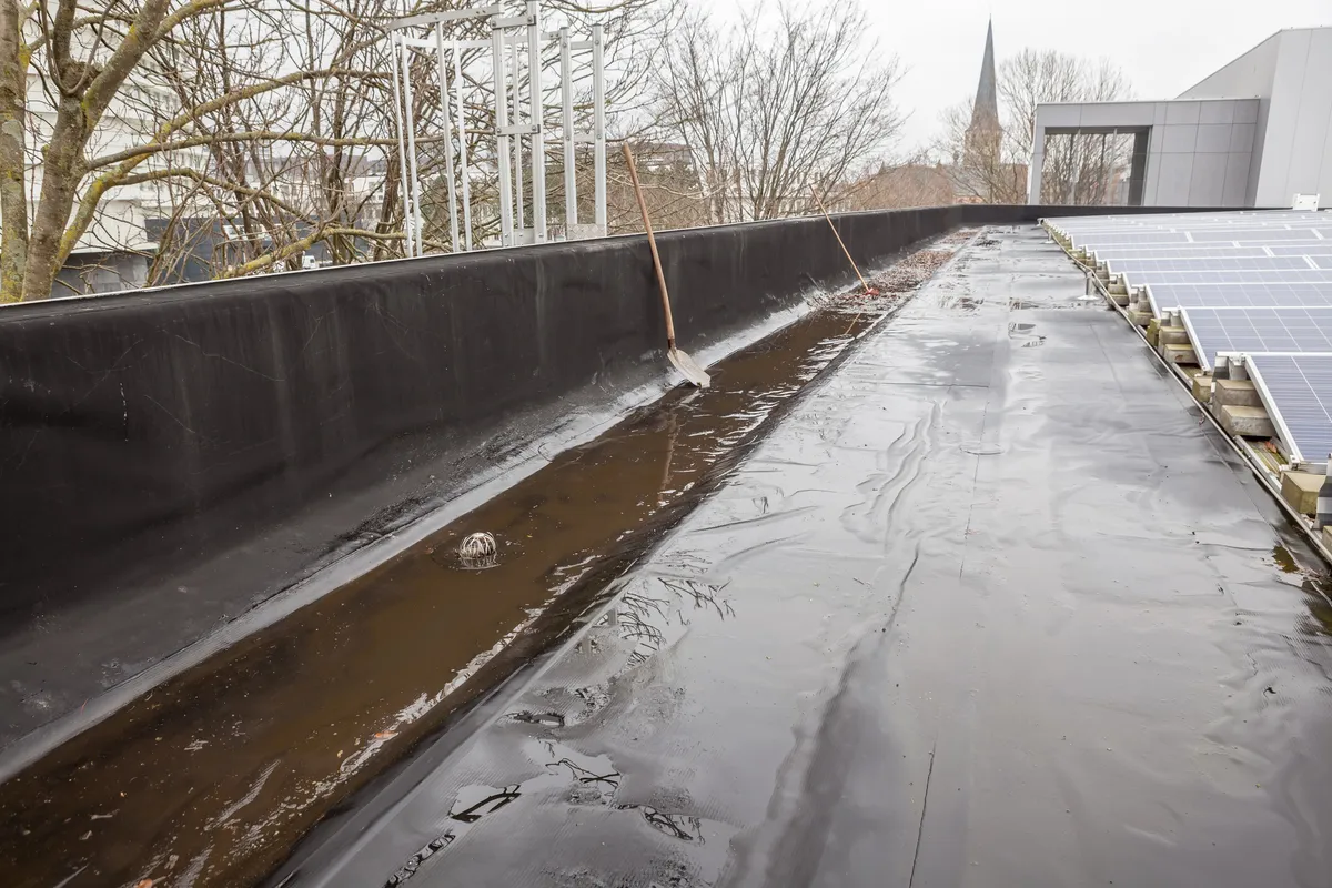 Cities Are Trapped in an AC Loop. Rainwater Could Be the Escape.
