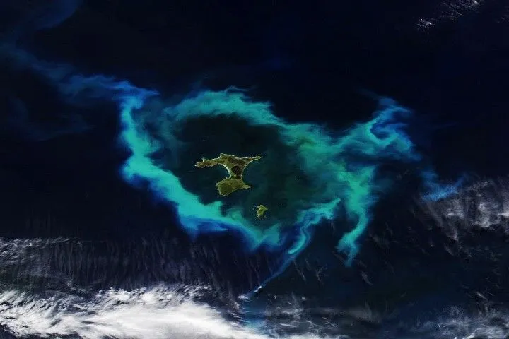 Blooming Seas Around the Chatham Islands - NASA Science