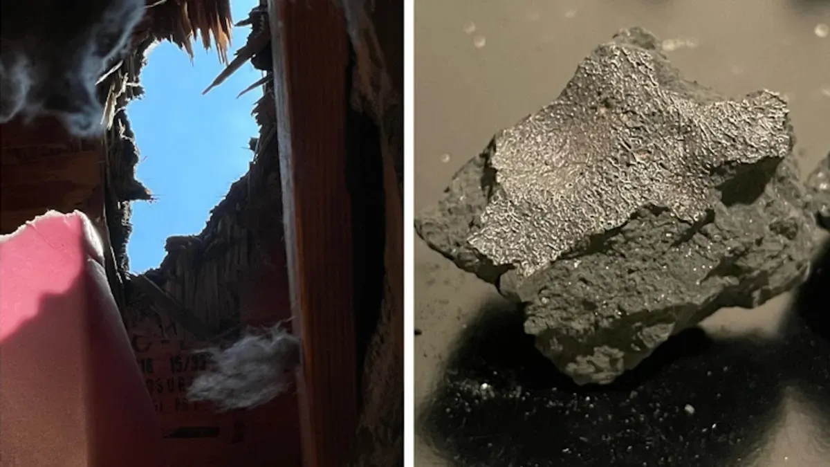 A Meteorite Crashed Into a New Jersey Home. Inside Were Life's Building Blocks.