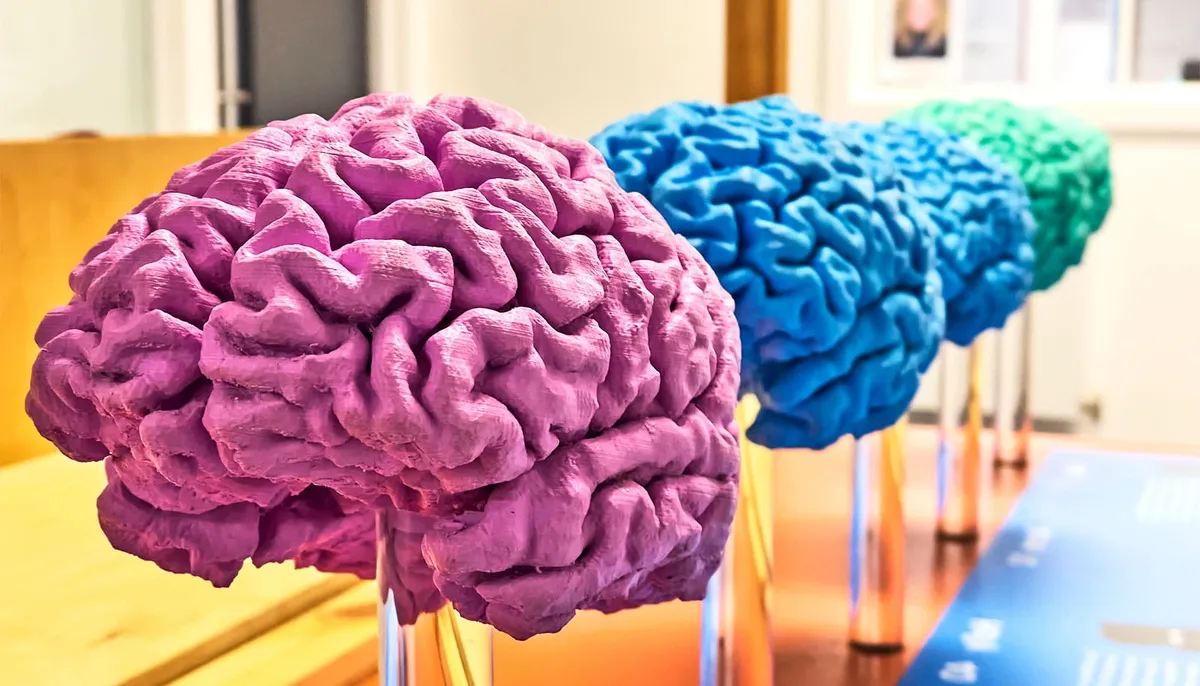Ketamine Might Be a 'Floodgate' for Brains, Especially Older Ones
