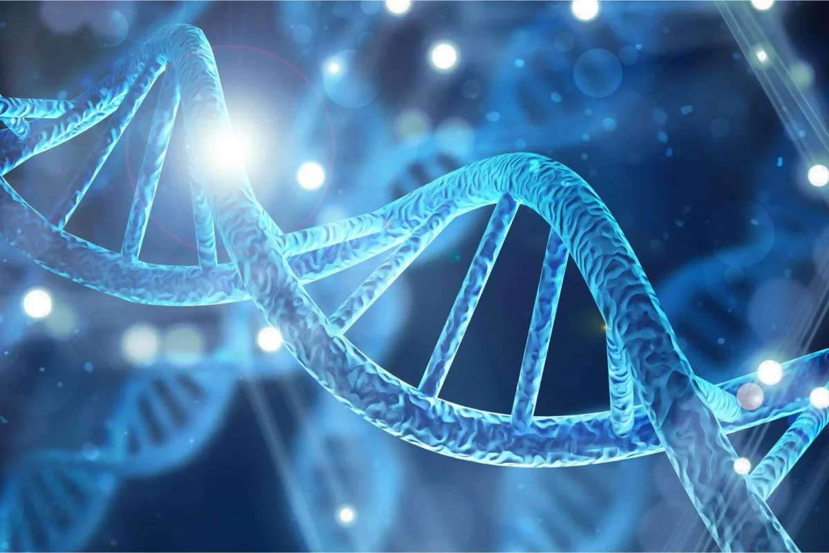 Scientists Uncover Hidden “Second Layer” in Human DNA