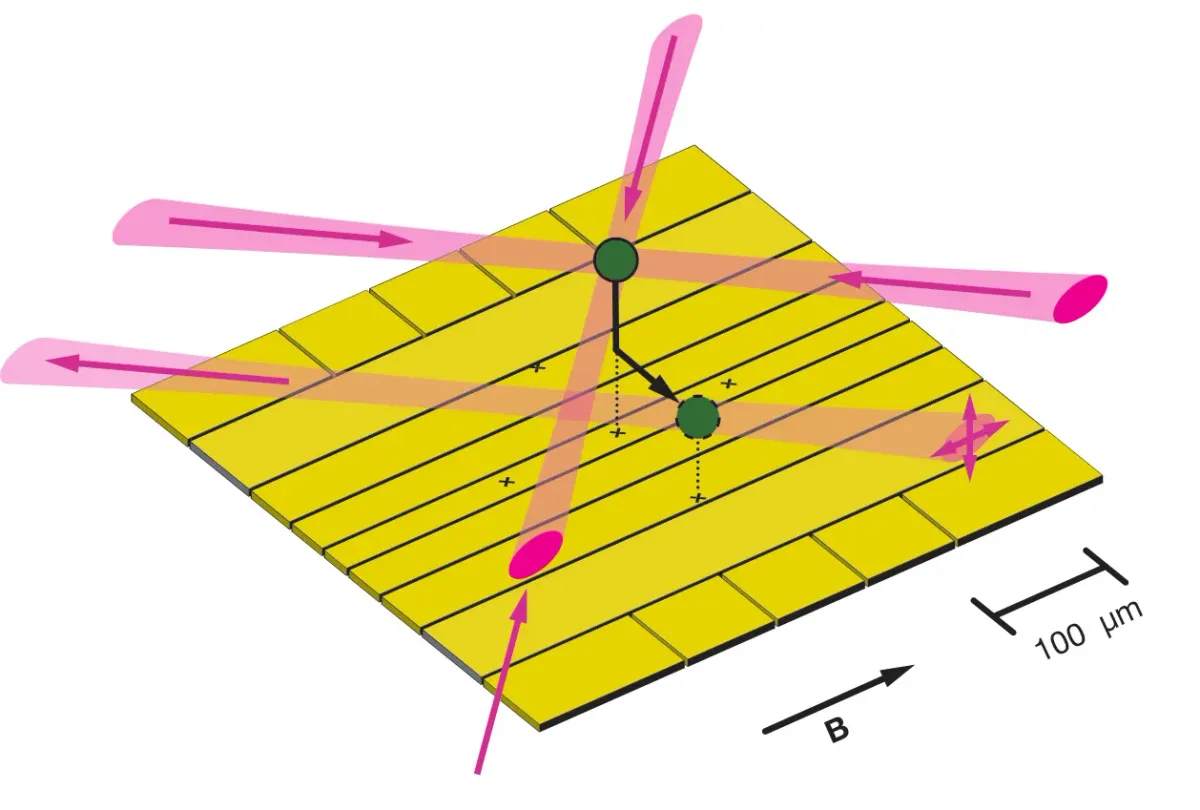 Article illustration