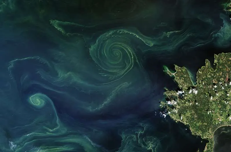 Scientists Found the Ocean's Sweet Spot for a Risky Climate Fix