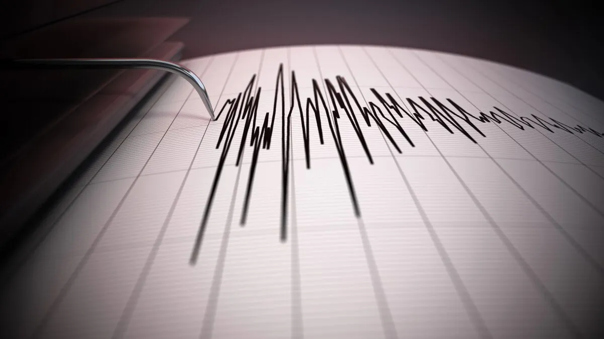 Earthquake 'whiplash' seen in large seismic events for the first time