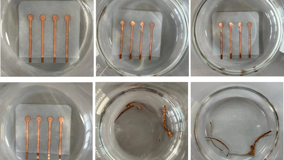 Bacteria-boosted 'living plastic' breaks down on command