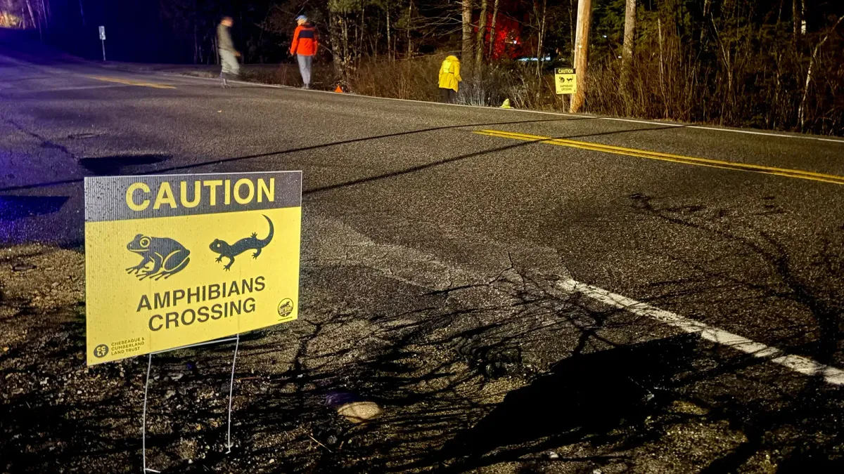 Article illustration