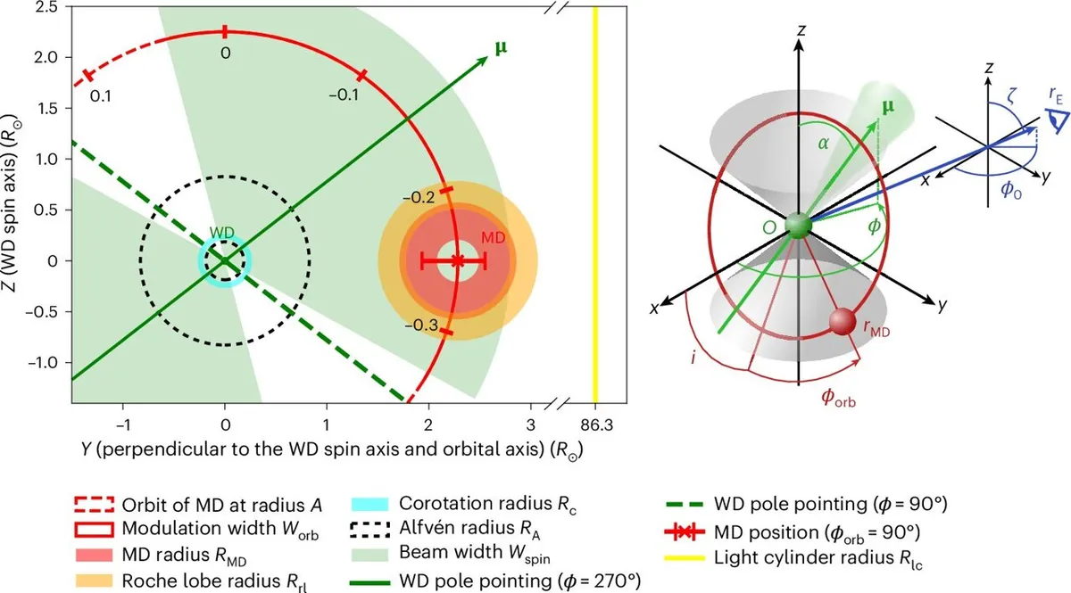 Puzzling slow radio pulses are coming from space. A new study could finally explain them