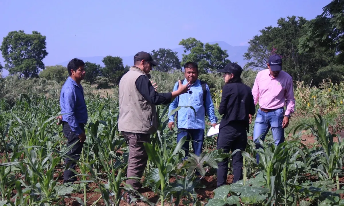 The 'Green Revolution' Got It Wrong. Now, Farmers Are Leading a 'Green Evolution.'