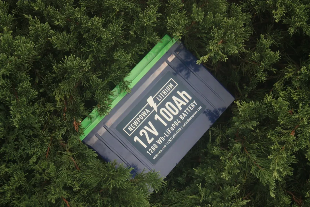 Article illustration