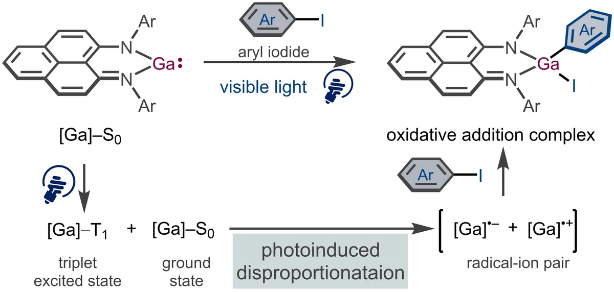 Gallium uses visible light to activate aryl iodides in rare bond-breaking reaction