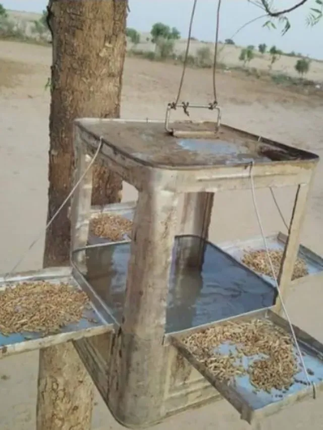 Villagers Turn Old Oil Cans Into Birdbaths, Sparking a Nationwide Movement