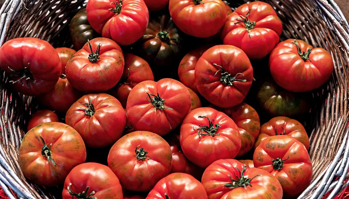 Turns Out Tomatoes Have a Secret Weapon Against Fatty Liver Disease