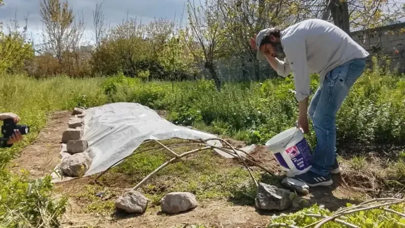 Solidarity fields in Syria: Reviving local seed production
